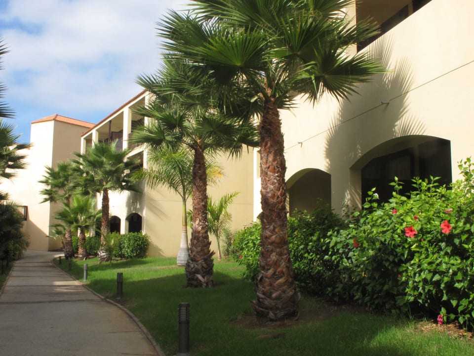 Grünanlage zwischen der Blocks La Palma Princess