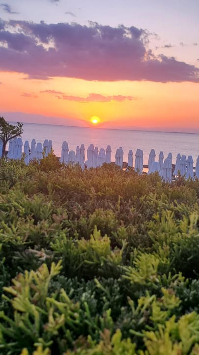 Ausblick Can Garden Beach