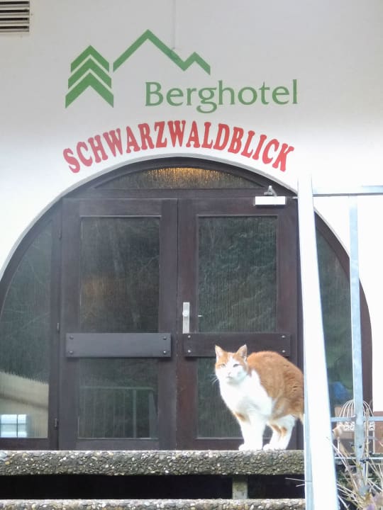 Herzlich tierischer Empfang  Berghotel Schwarzwaldblick-Triberg