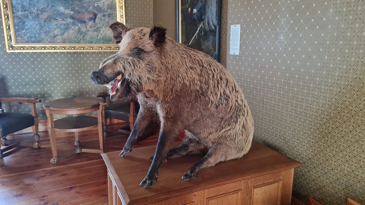 Sport & Freizeit Hotel Jagdschloss Letzlingen