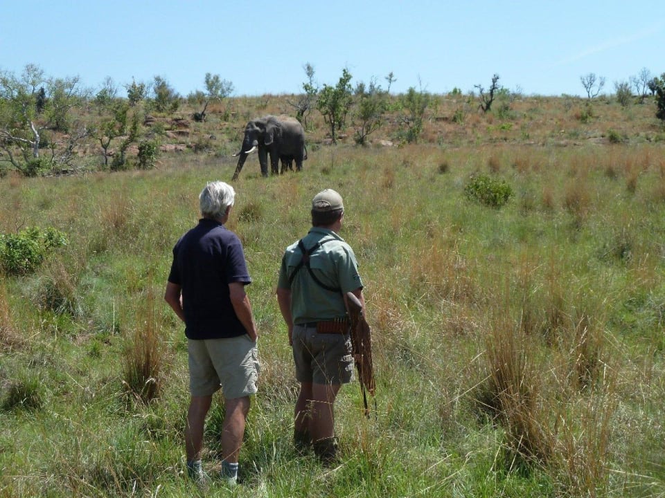 Big 5 wandeling Kololo Game Reserve Accommodation