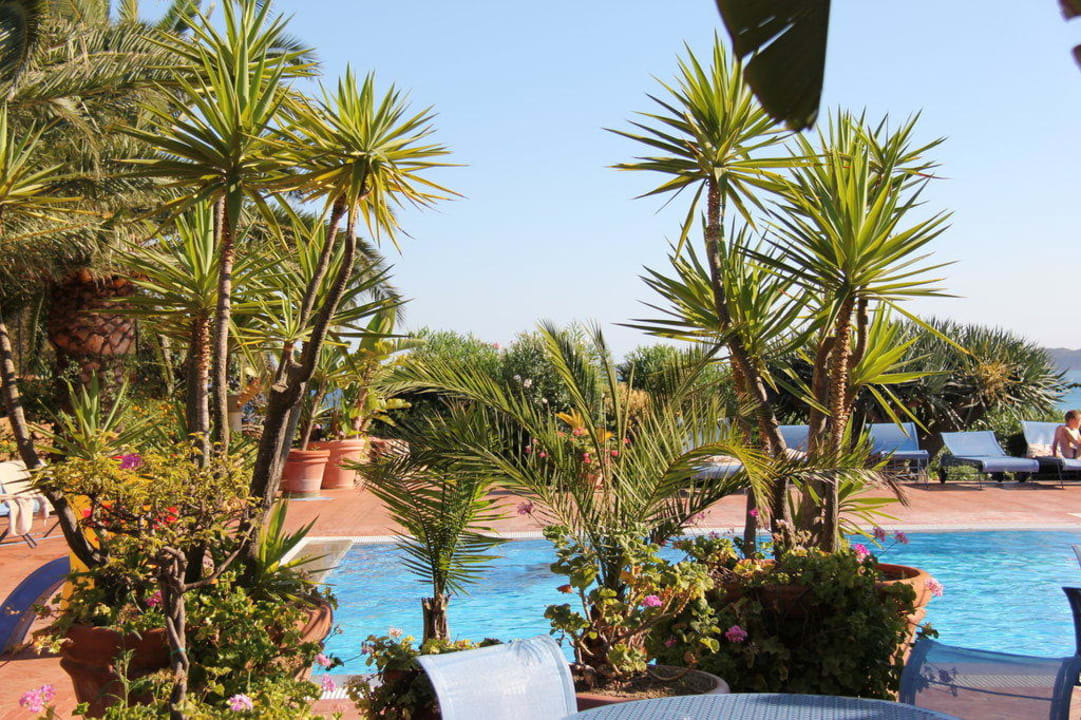 Blick auf den Pool Hotel Residence Fenicia