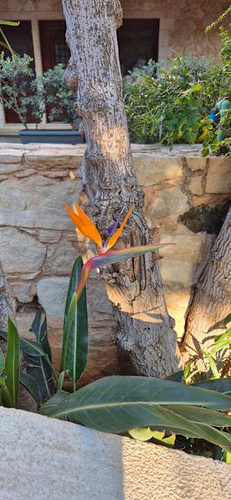 Gartenanlage Cactus Beach