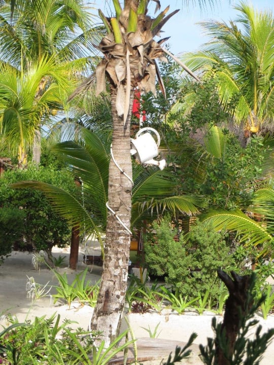 Selbsterklärend Hotel Villas Flamingos