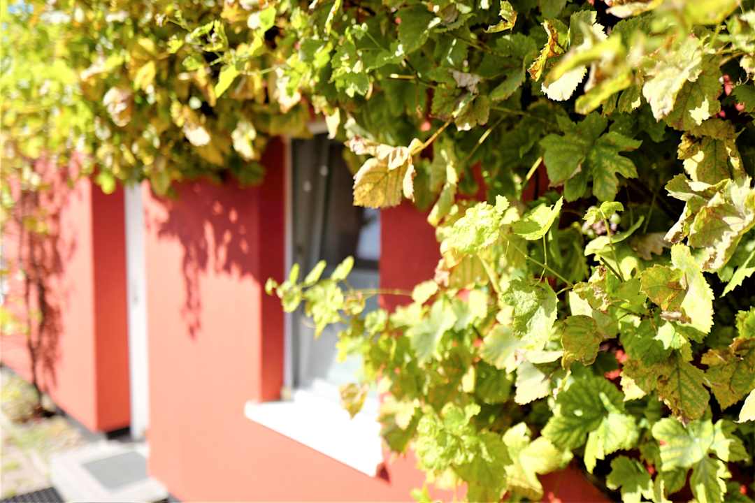 Sonstiges APPARTEMENT-VERMIETUNG BRUNNER