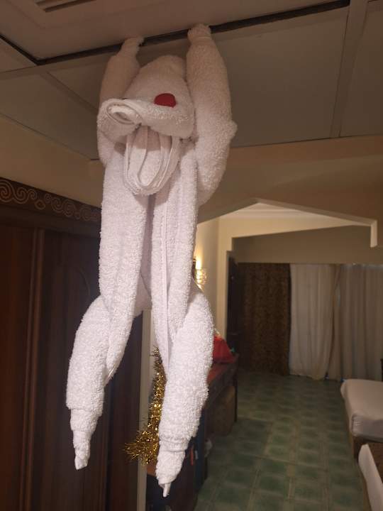 Zimmer Jasmine Palace Resort & Spa