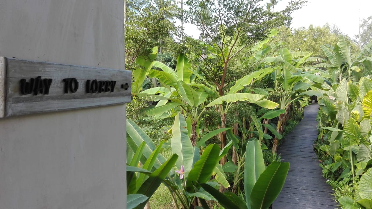 Der Weg zur Lobby Bangsak Village
