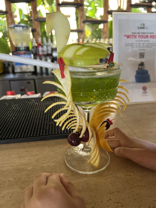 Gastro Arum Barut Collection