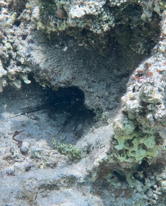Strand Lazuli Hotel Marsa Alam