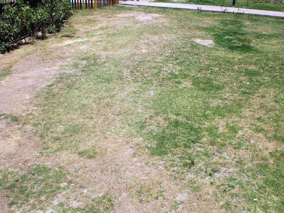 Die Grünflächen Tirana Aqua Park Resort