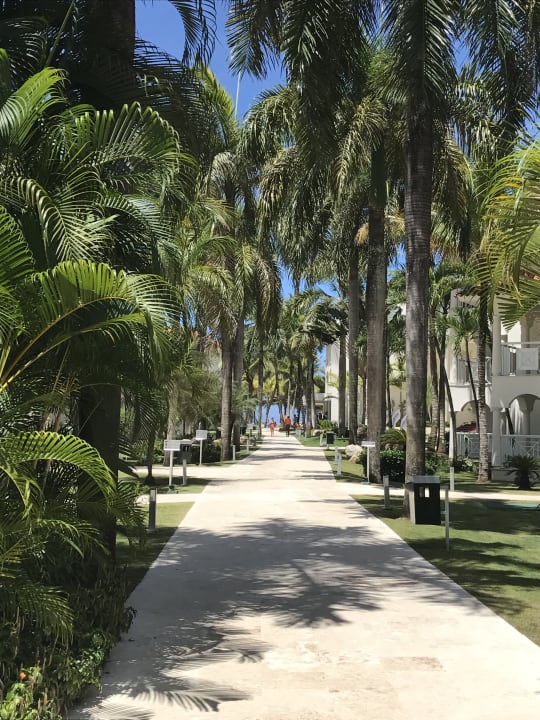 Gartenanlage Viva Tangerine by Wyndham - All Inclusive Resort
