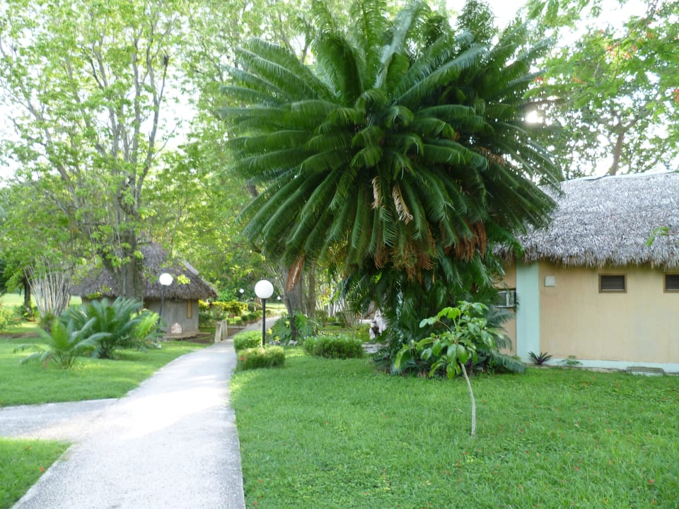 Weg zu den Bungalows Hotel Los Caneyes