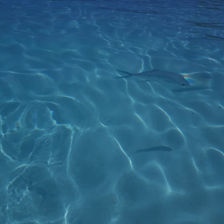 Strand Adaaran Select Meedhupparu Island Resort - Premium All Inclusive