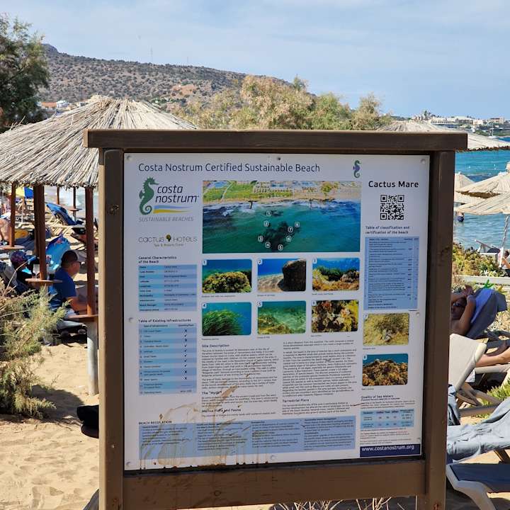 Strand Cactus Mare - Adults only