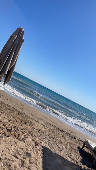 Strand Acanthus Cennet Barut Collection