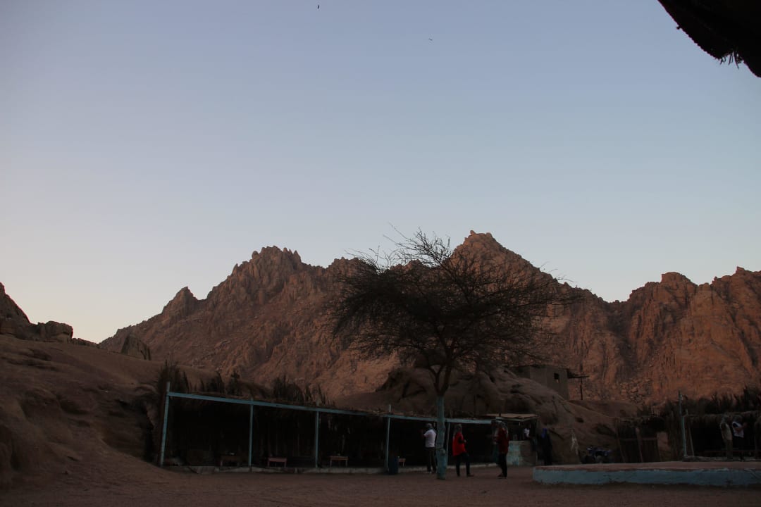 Quad Tour Ghazala Beach