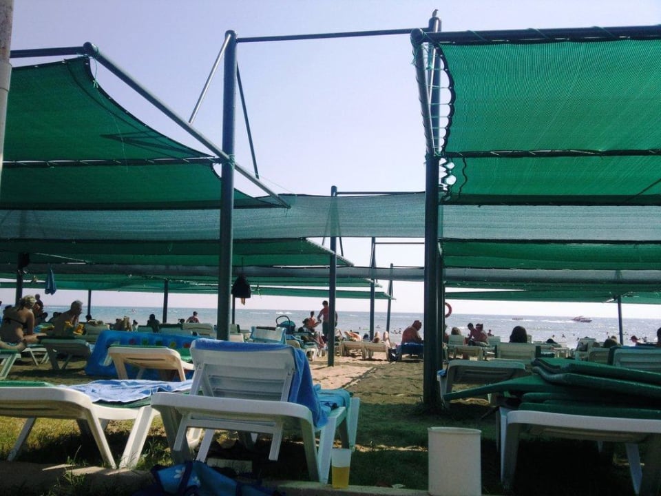Hoteleigener Strand Trendy Palm Beach (Adults Only, 16+)