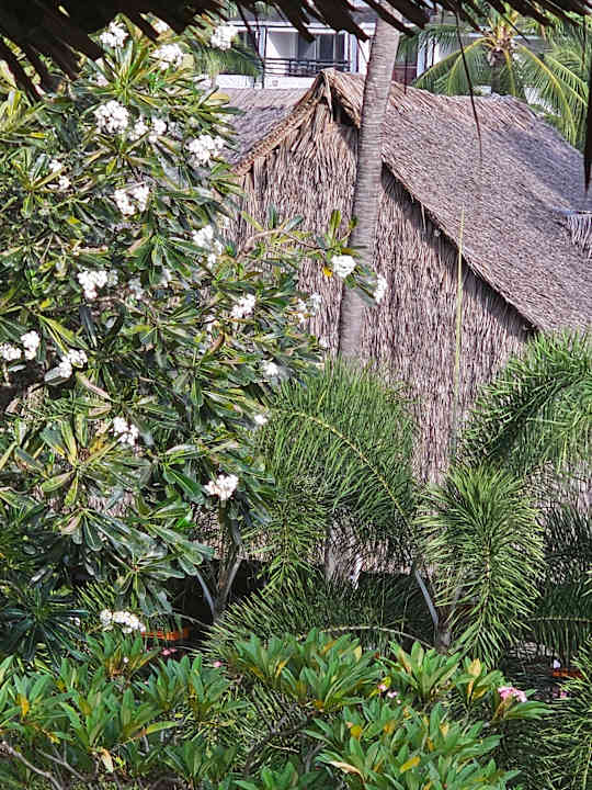 Außenansicht Hotel Southern Palms Beach Resort