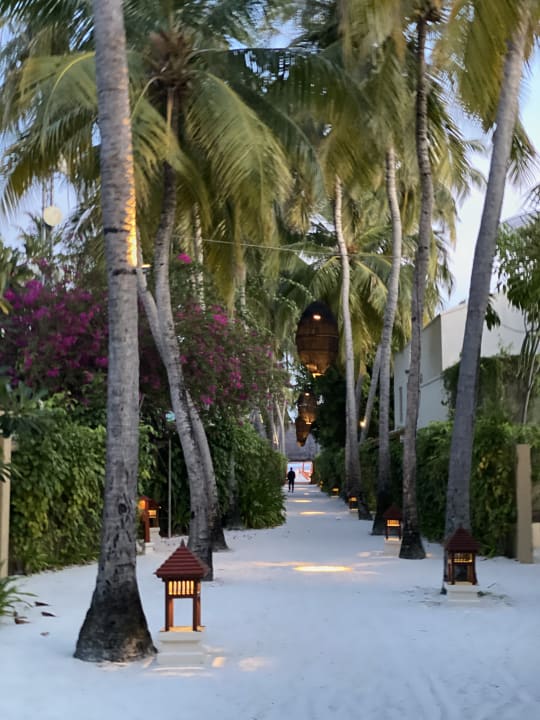 Gartenanlage Banyan Tree Vabbinfaru