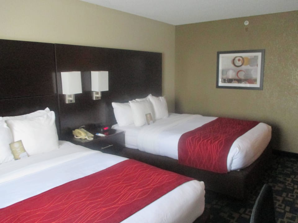 2 grosse Betten Hotel Comfort Inn & Suites Universal Convention Center
