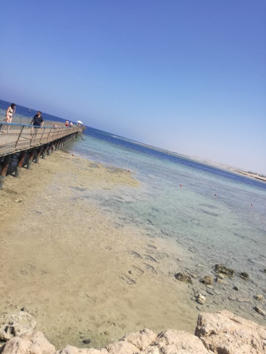 Strand Pickalbatros Palace Hotel-Port Ghalib