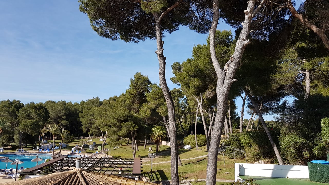 Gartenanlage Hotel Exagon Park