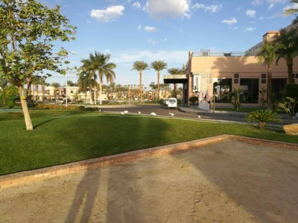 Der Hoteleingang Beach Albatros Resort