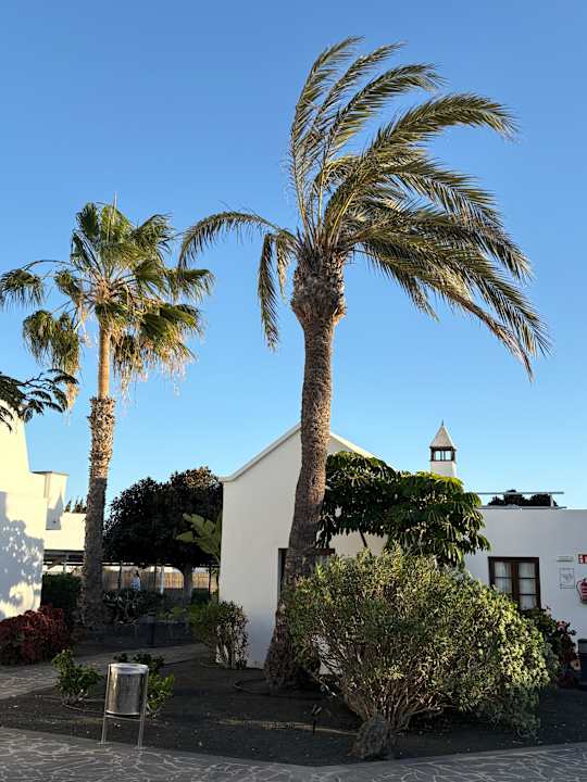 Außenansicht allsun App.-Hotel Albatros