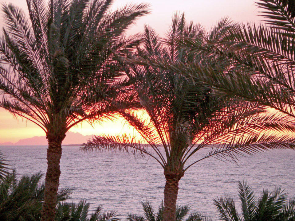 Meerblick Hotel Nubian Village