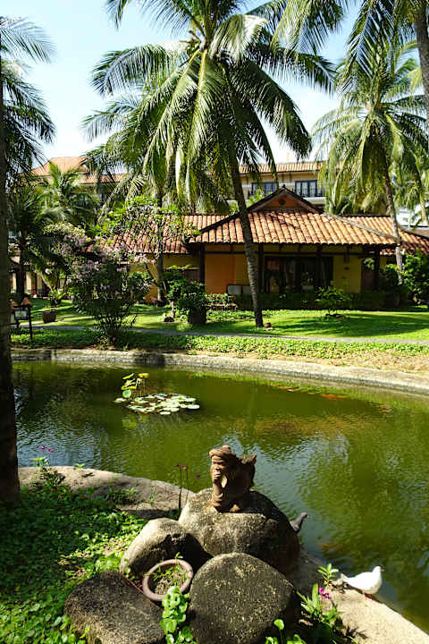 Gartenanlage Seahorse Resort & Spa