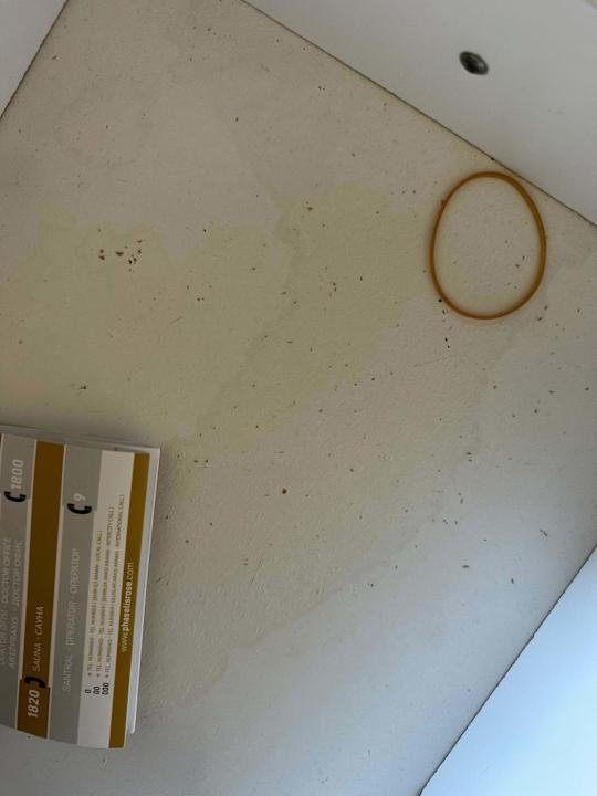 Zimmer Club Hotel Phaselis Rose