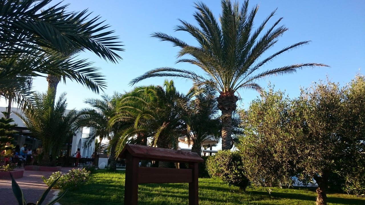 Gartenanlage Hotel Meninx Djerba