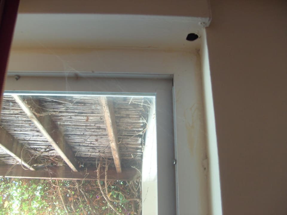 Spinnweben HARPIN Georgioupolis Resort Aquapark & SPA