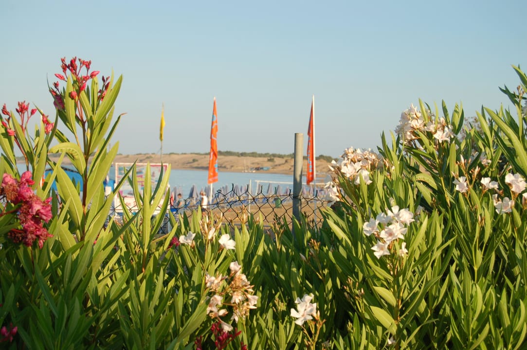 Strand Sandy Beach Resort