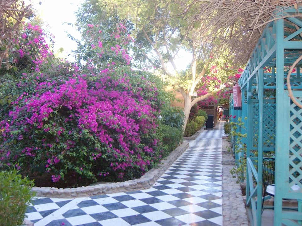 Anlage/Bungis Giftun Azur Resort