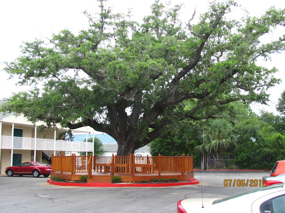 Blick aus Zimmer und Fenster Hotel Super 8 Biloxi