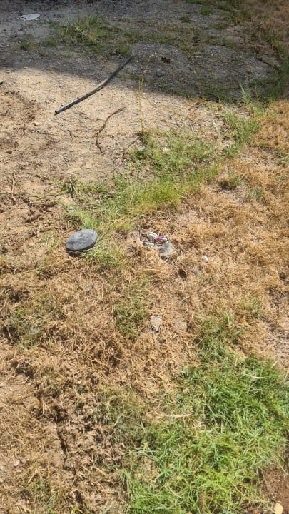 Gartenanlage Coral Hills Resorts & SPA