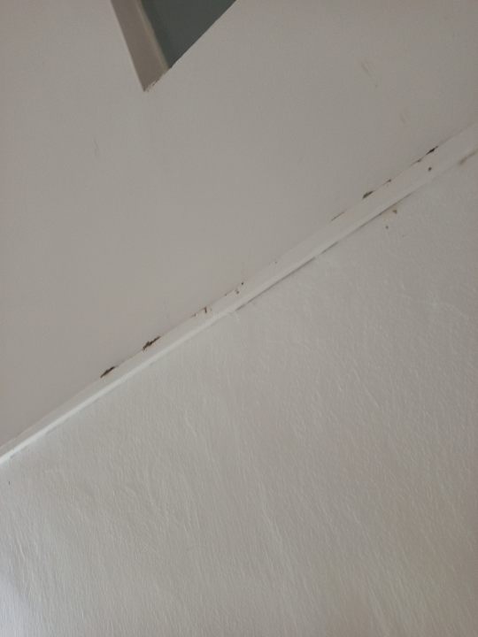 Zimmer Monarque Dar Jerba Zahra