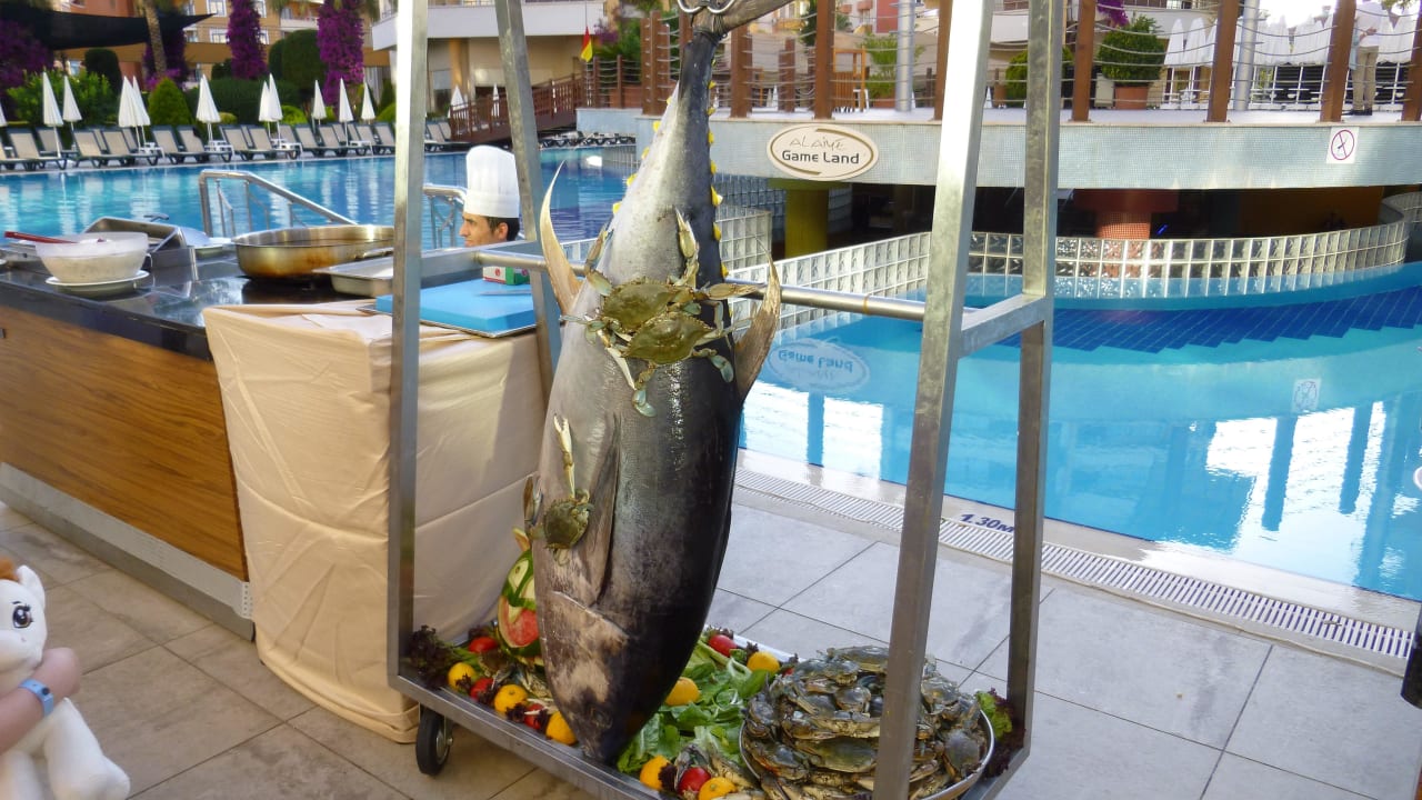 Riesige Fisch Alaiye Resort & Spa