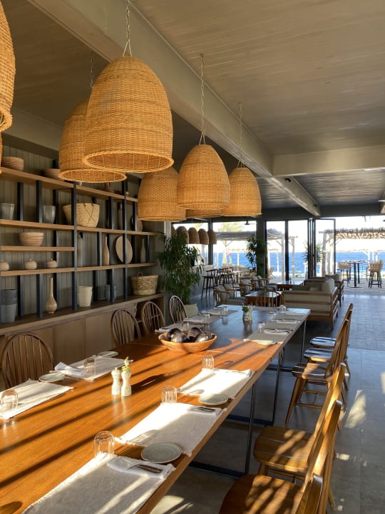 Gastro Steigenberger Resort Alaya Marsa Alam - Red Sea - Adults only