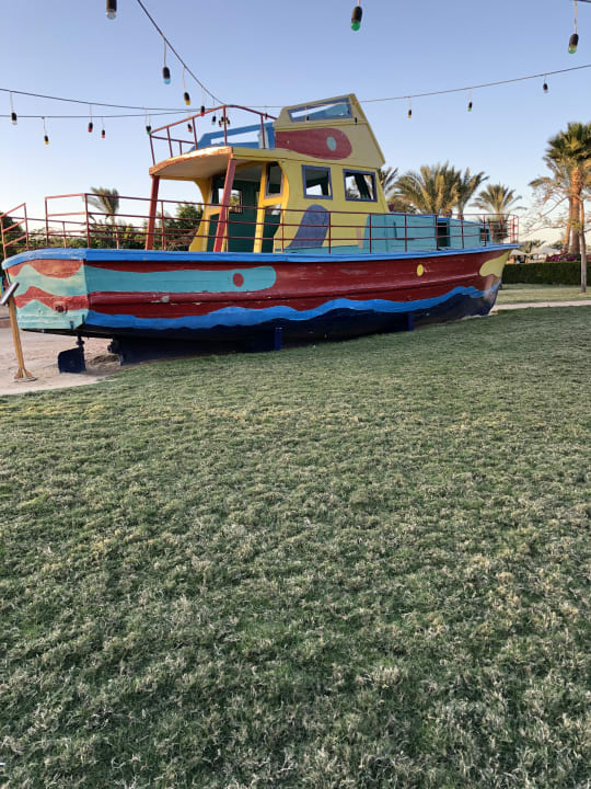Gartenanlage Desert Rose