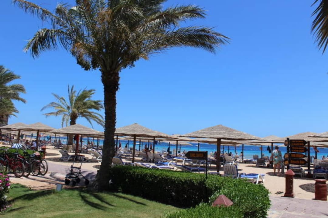 Strand aus Sicht der Beachbar Fort Arabesque Resort, Spa & Villas