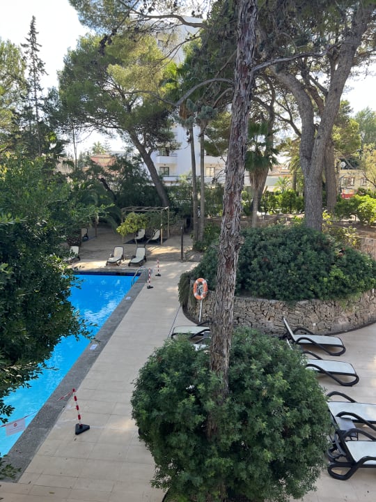 Ausblick Aparthotel Houm Plaza Son Rigo