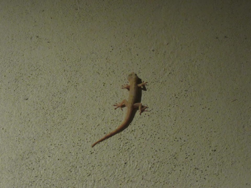 Sonstiges Hotel Belum Rainforest Resort