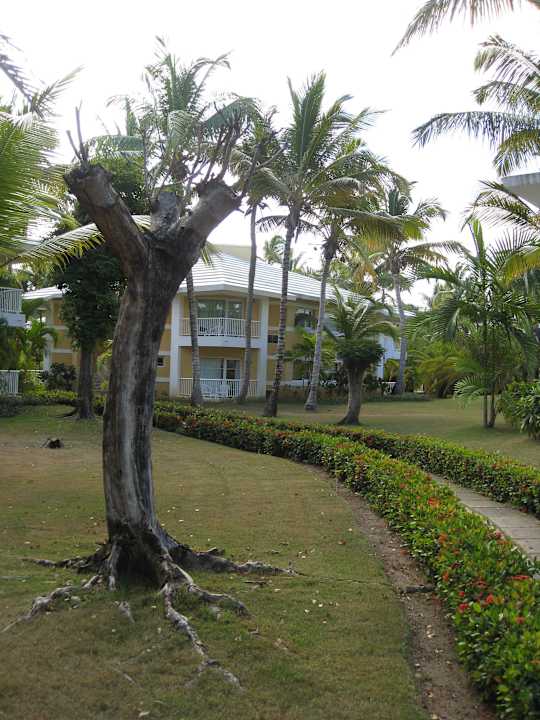 ... Grand Palladium Select Bávaro Resort & Spa