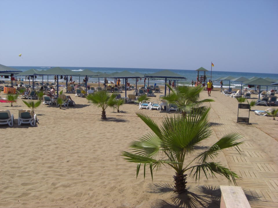 Einfach traumhaft Paloma Oceana