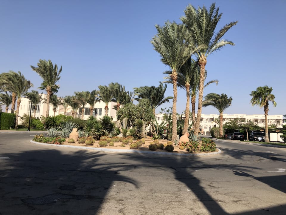 Ausblick Steigenberger Coraya Beach - Adults only