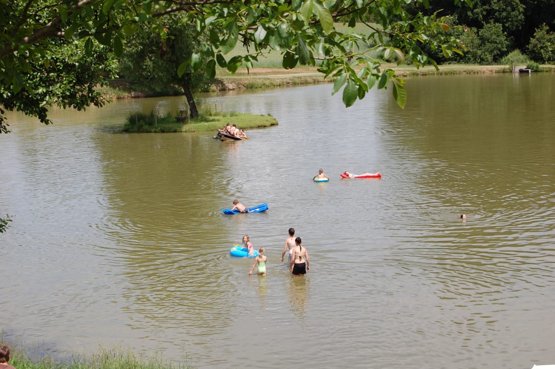 Viel Spaß im Wasser haben bei uns auch Fische Kollerhof
