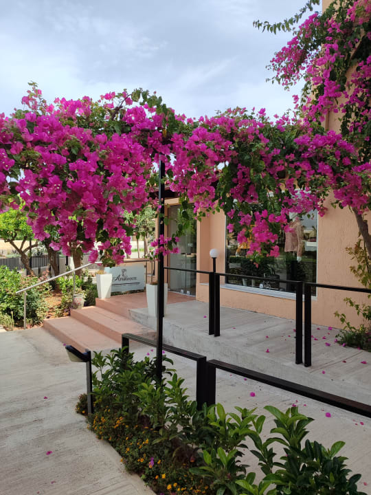 Gartenanlage Anissa Beach & Village