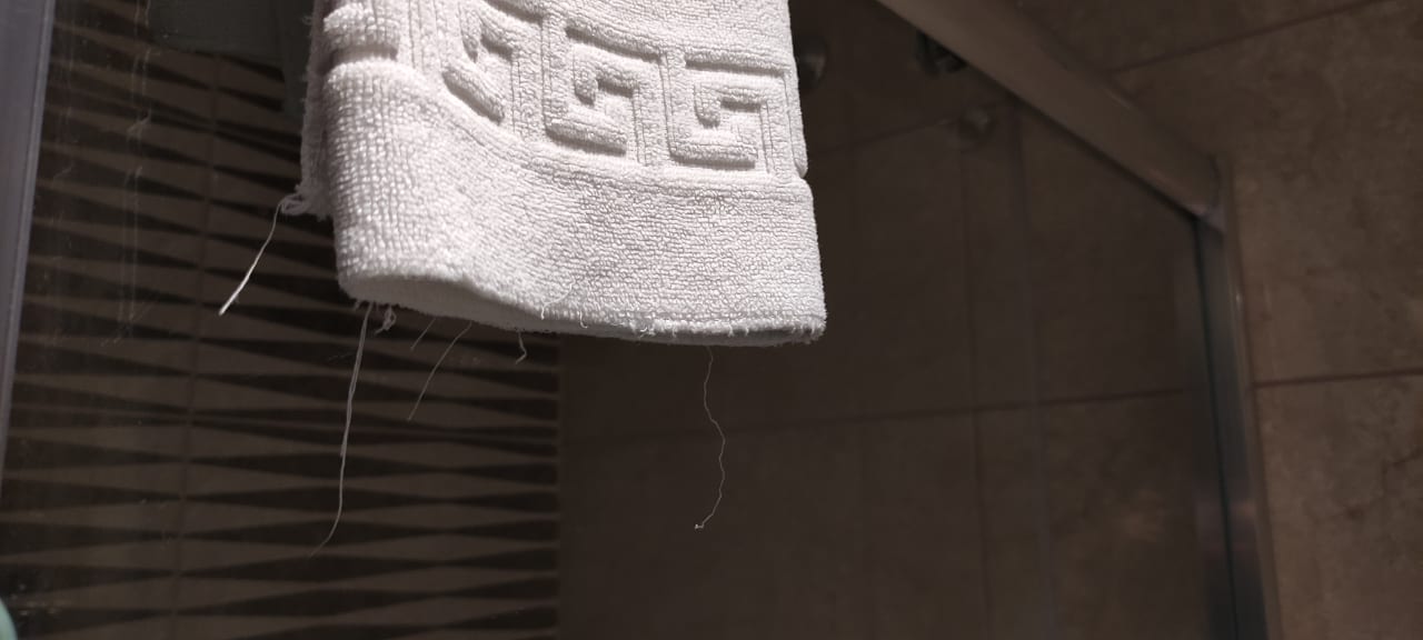 Zimmer Well Palace Side